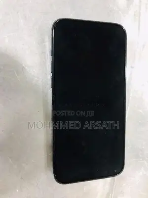 Apple iPhone 13 Pro Max (Used)