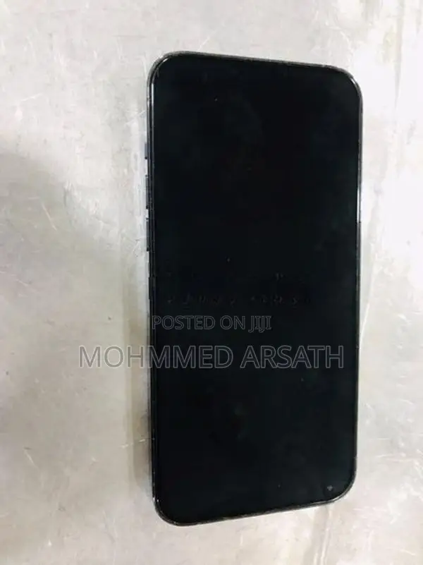 Apple iPhone 13 Pro Max (Used)