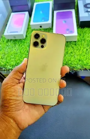 Apple iPhone 12 Pro (Used)