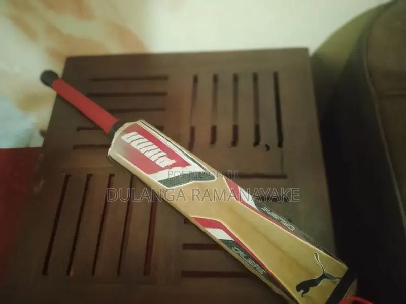 Puma Bat