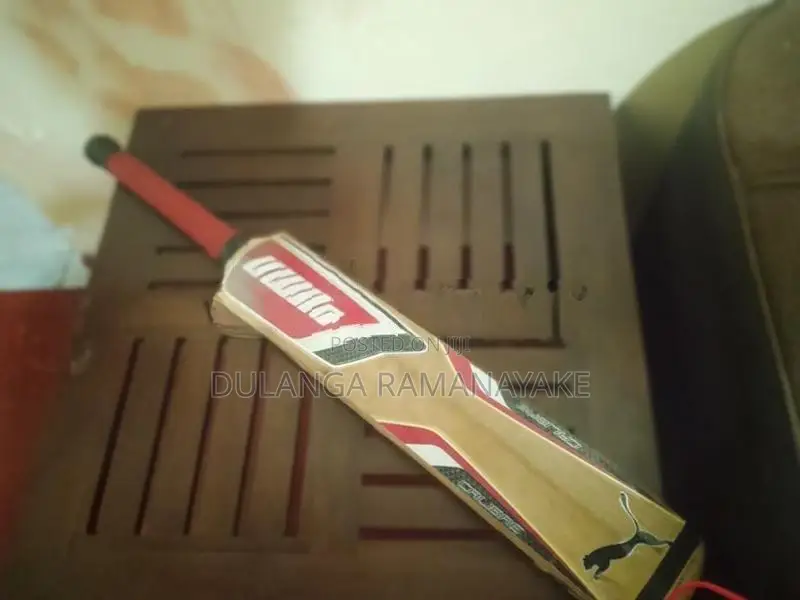 Puma Bat