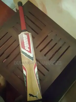 Puma Bat
