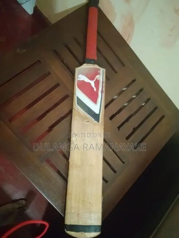 Puma Bat