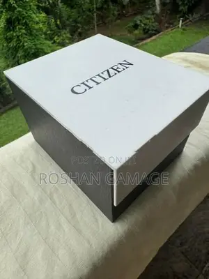Citizen Eco Drive Sapphire AT2141 52L