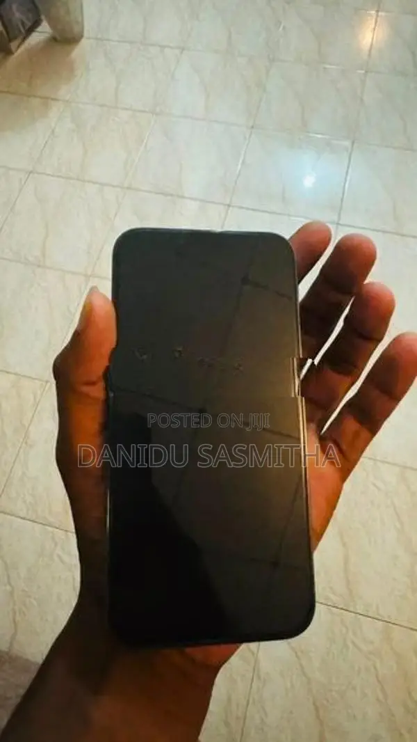 Apple iPhone 13 Pro (Used)