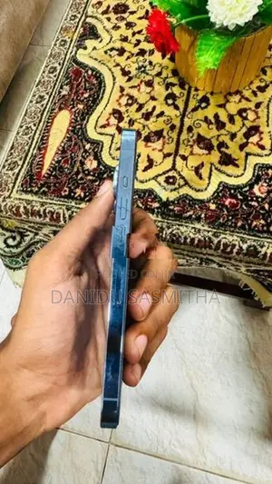 Apple iPhone 13 Pro (Used)