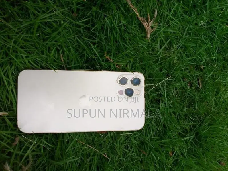 Apple iPhone 12 Pro (Used)