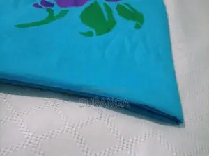 Handloom Saree Without Blouse
