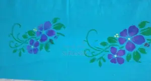 Handloom Saree Without Blouse