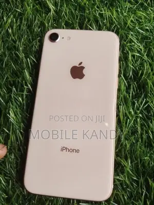 Apple iPhone 8 (Used)