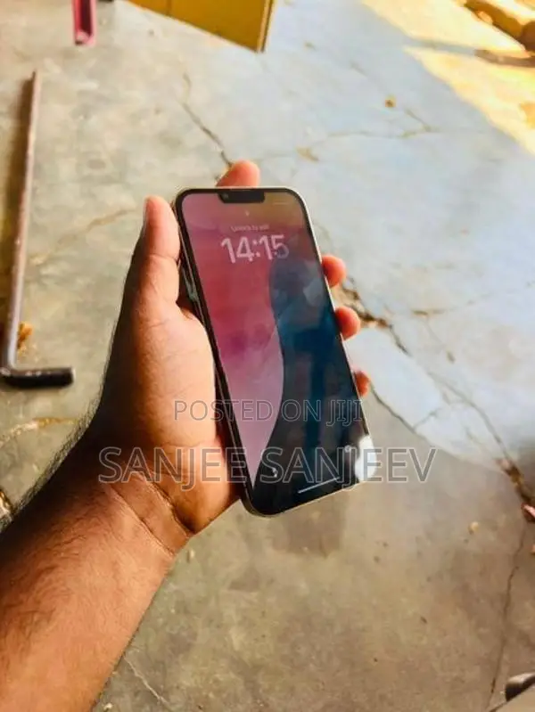 Apple iPhone 13 Pro Max (Used)