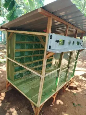 Pigeon Bird Cage