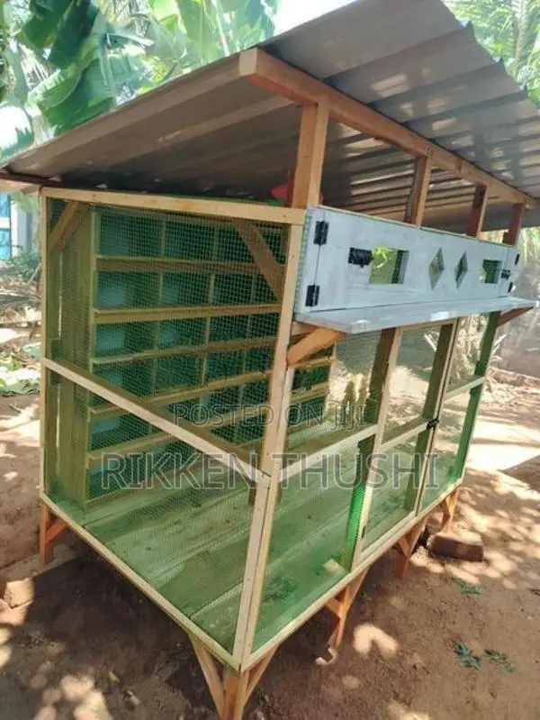 Pigeon Bird Cage