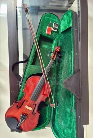 Full Set Lark Violin With Bongo