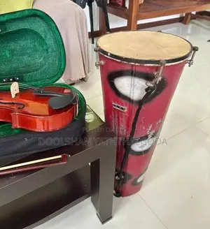 Full Set Lark Violin With Bongo