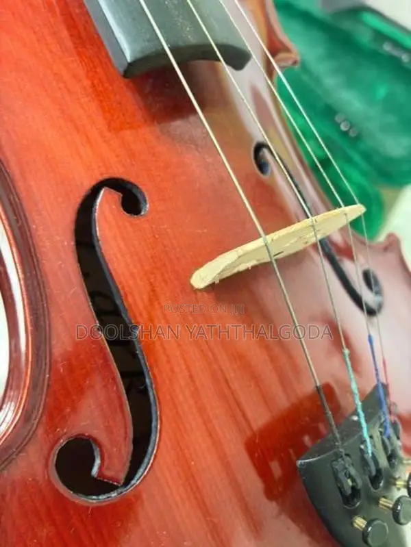 Full Set Lark Violin With Bongo