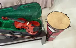 Full Set Lark Violin With Bongo