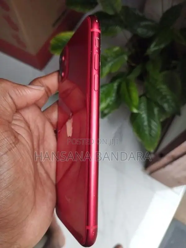 Apple iPhone 11 (Used)