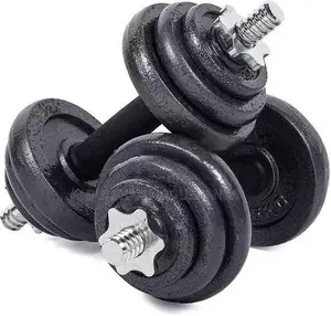 Brand New 20kg Dumbbell Set Weight Gold Cup