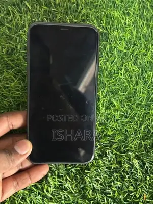 Apple iPhone 11 (Used)