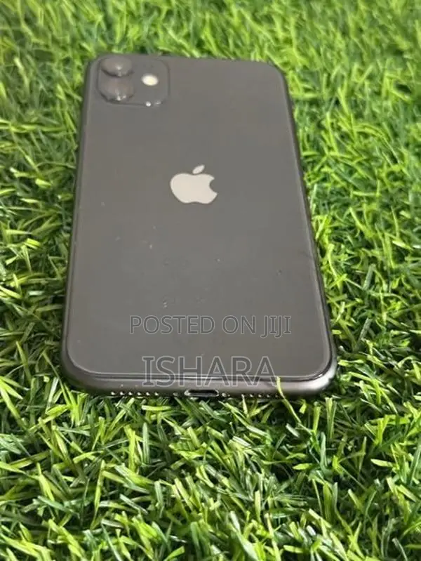 Apple iPhone 11 (Used)