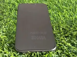 Apple iPhone 11 (Used)