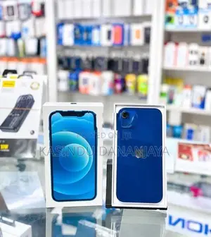 Apple iPhone 12 (Used)
