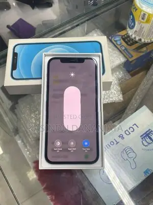 Apple iPhone 12 (Used)