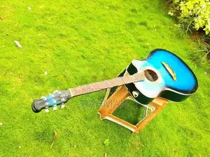 Semi Acoustic Guitar