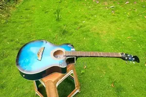 Semi Acoustic Guitar