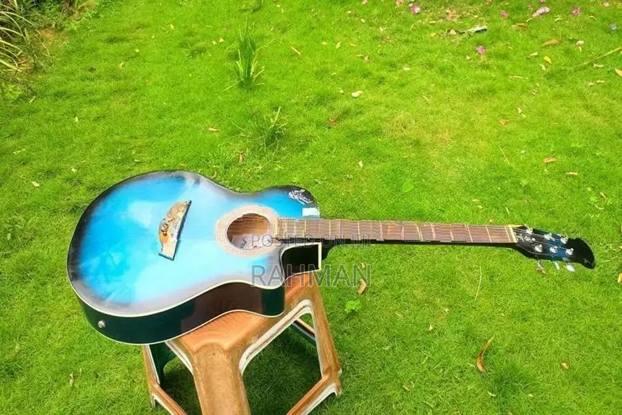 Semi Acoustic Guitar
