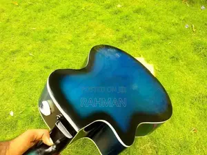 Semi Acoustic Guitar