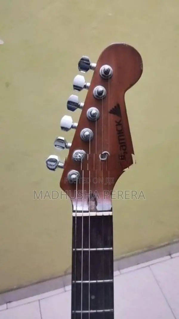 Samic Electric Guitar