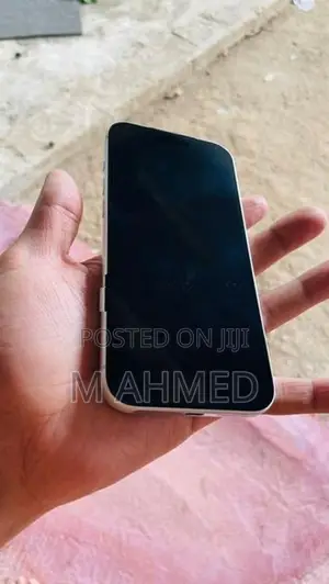 Apple iPhone 17 Pro Max (Used)