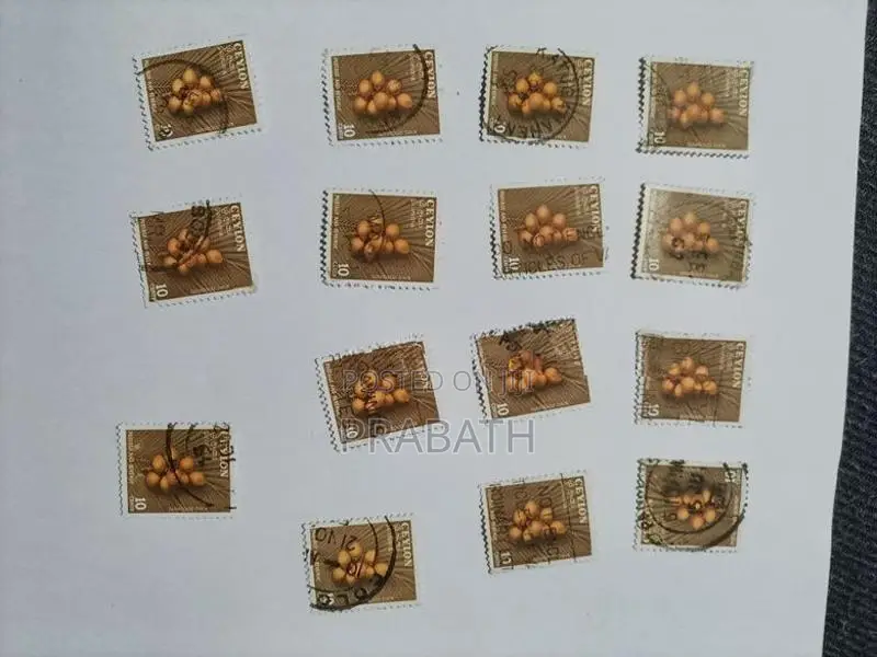 Old Ceylon Stamp Rare Collection
