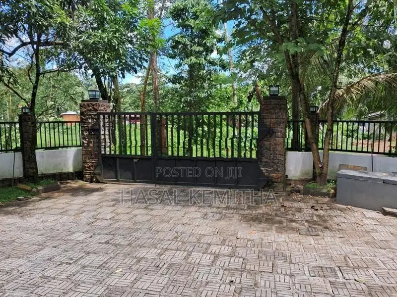 Main Iorn Gates 9ft 5ft