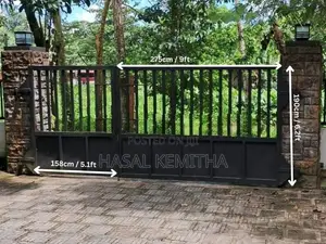 Main Iorn Gates 9ft 5ft