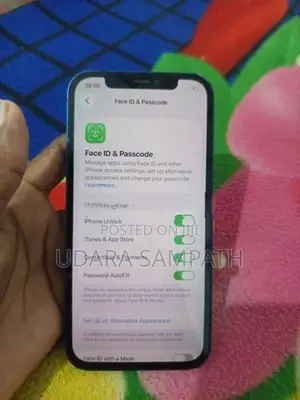 Apple iPhone 12 (Used)
