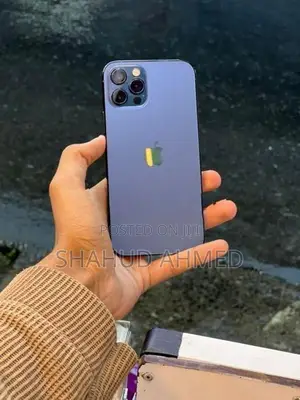 Apple iPhone 12 Pro (Used)