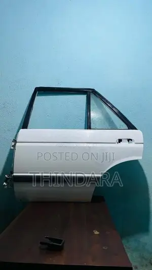TradSunnyBackLeftDoorPanal for Car