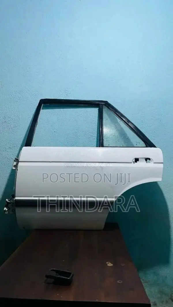 TradSunnyBackLeftDoorPanal for Car