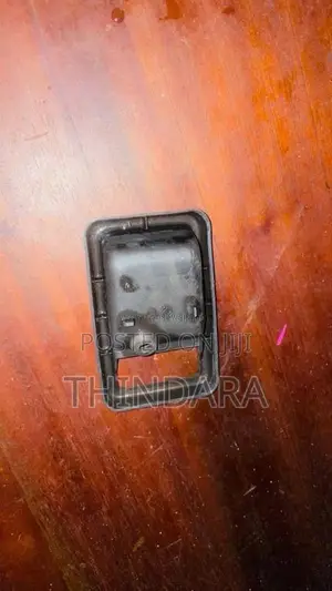 TradSunnyBackLeftDoorLockGanish for Car
