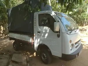 Tata Dimo Batta 2006 Lorry (Used)