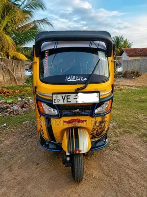TVS King 2010 Three Wheel (Used)