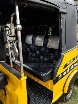 TVS King 2010 Three Wheel (Used)