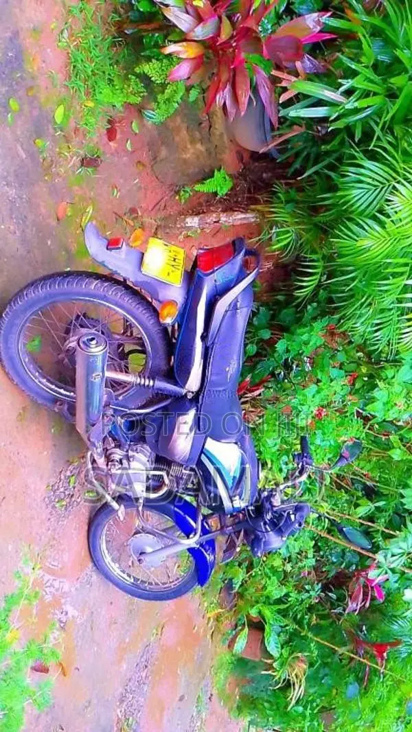 TVS Victor Gx 2005 Motorbike (Used)
