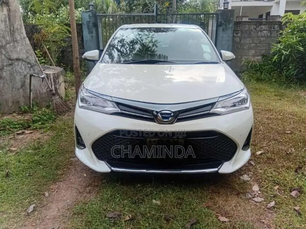 Toyota Axio WXB 2018 Car (Used)