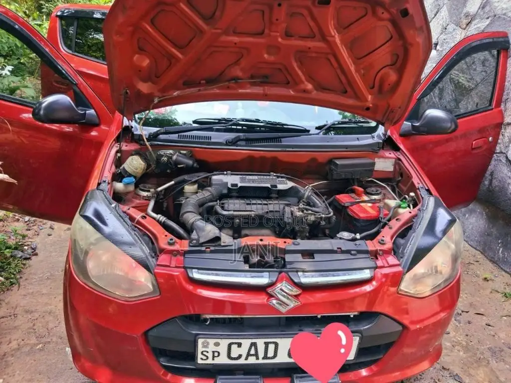 Suzuki Alto 2015 Car (Used)