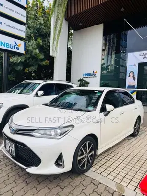 Toyota Axio WXB 2018 Car (Used)