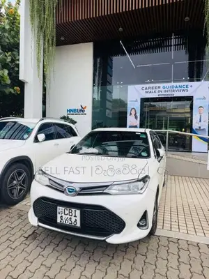 Toyota Axio WXB 2018 Car (Used)